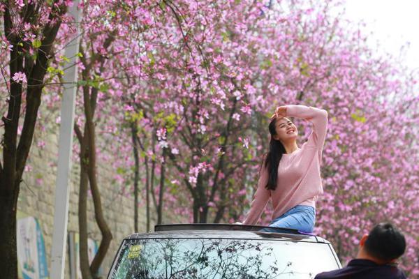 一幫路怒的河北石家莊市年輕人瘋狂追車_13.54億起 豐臺臨鐵宅地火速轉(zhuǎn)正 12月開拍！