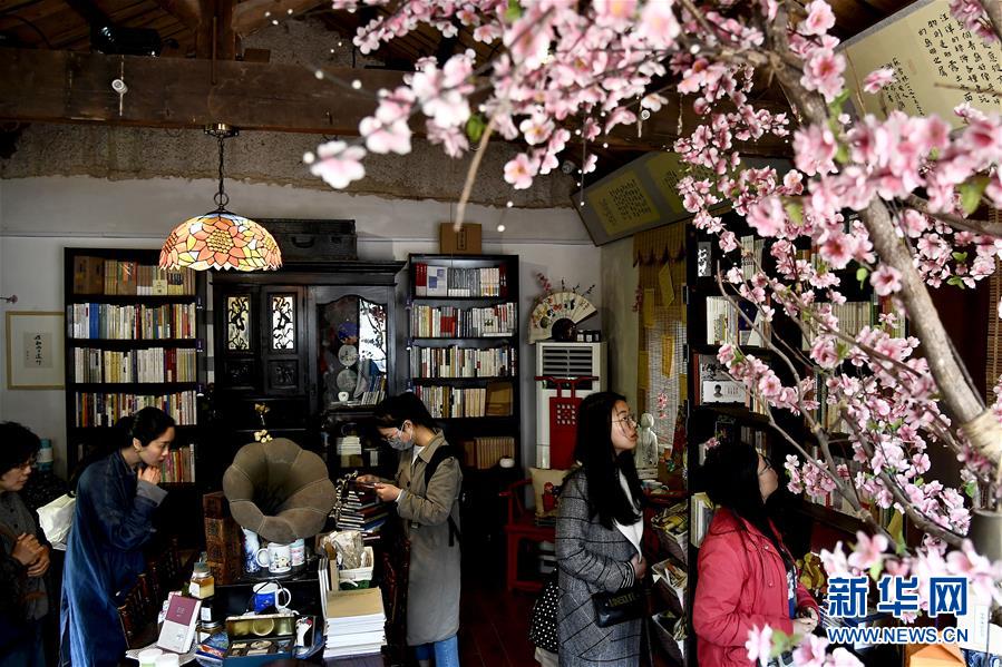 一個域名不同子目錄做不同網(wǎng)站_愿有一方院子，閑數(shù)光陰