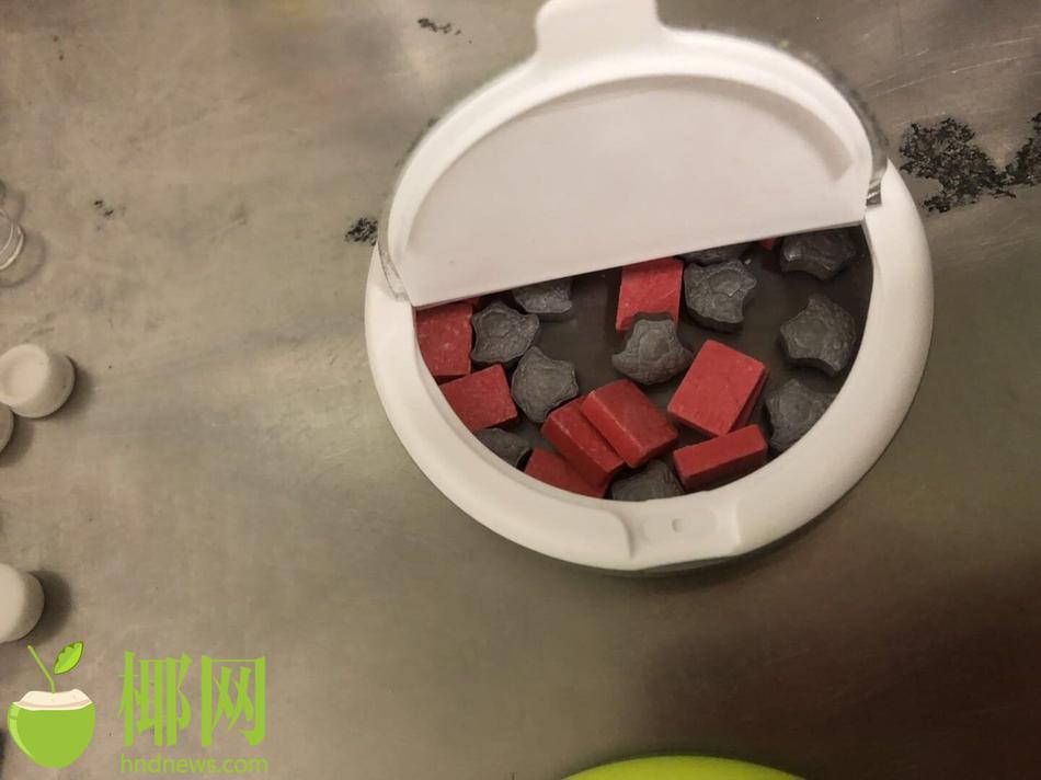 常識分為幾類_打工人夢想中的生活，寵物已經提前過上了