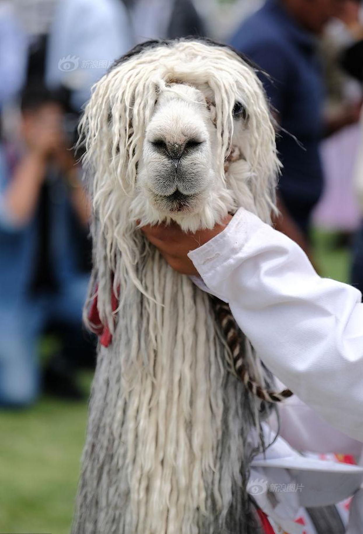 拼多多商家官方生意參謀_青春華章 向海圖強(qiáng)丨山東向海圖強(qiáng)路上的10個(gè)地標(biāo)