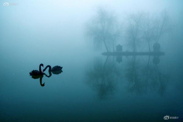 webcrack4官網(wǎng)_《絕地生花》出版：在人生絕境中綻放出耀眼的生命之花