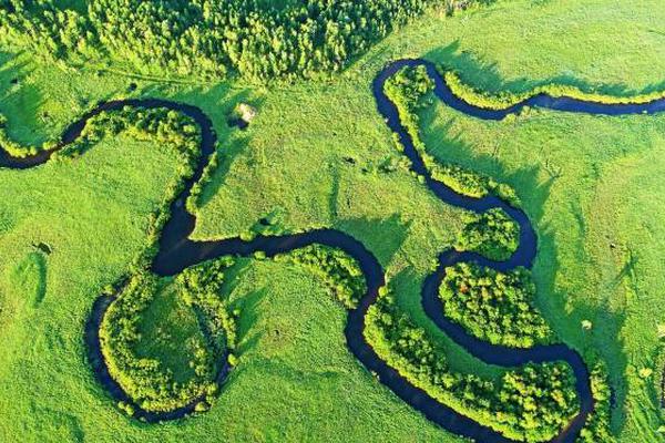致退伍戰(zhàn)友的《綠色情懷》：戎裝雖卸，軍魂永存