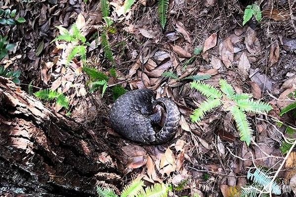 中央明確“支持經(jīng)濟(jì)大省挑大梁”