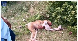 破解家庭監(jiān)控合集2_為#愛加餐# 為了中國孩子！