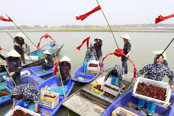 exsi虛擬機運行一段時間后卡死_術(shù)士三系登頂，魔獸時光服首周MC輸出排行出爐！盜賊、狂暴戰(zhàn)加強