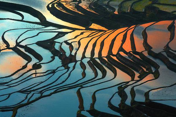 “十月”漢學(xué)家沙龍：中外文學(xué)翻譯家對話成功舉辦