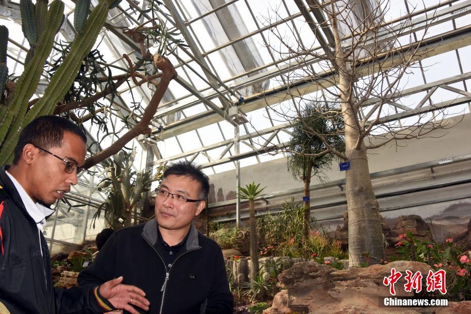 黑帽seo一般叫做seo作弊._金融圈大清洗！嚴(yán)打黑中介，銀行“內(nèi)鬼”落馬！