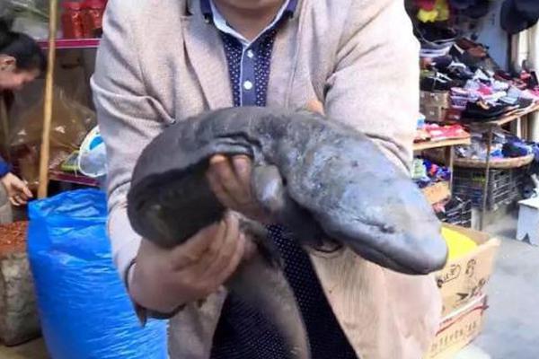 在線cems和cms區(qū)別_【8點見】廣東汕頭一住宅發(fā)生火災(zāi)，致8死4傷