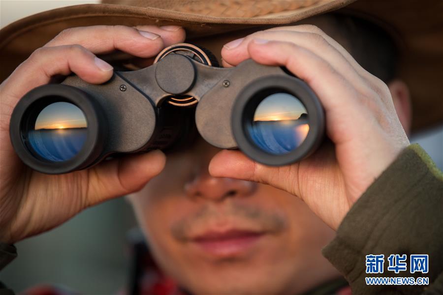 如何獲取wifimac地址_9000元寵物雞被偷走 找到時(shí)已拔光毛準(zhǔn)備下鍋