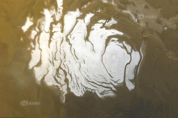 kali怎么設置中文_地平線蘇箐：未來三年，自動駕駛行業(yè)將告別范式迭代狂飆