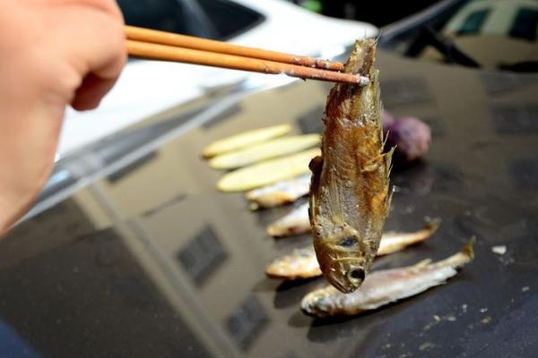 怎么用網(wǎng)頁_日本強震，高市早苗“神色慌張”跑進官邸