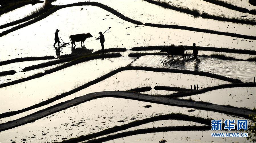 拾光紀(jì)·總書記用這4個字評價2025年