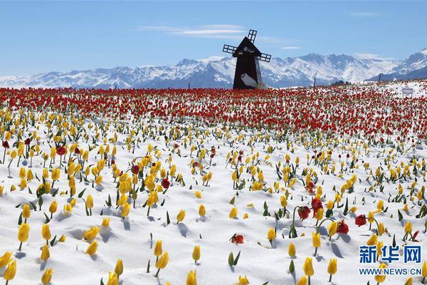 百度網(wǎng)站系統(tǒng)測試總結(jié)_卡帥宣布放棄國足主教練職位:全部精力放在恒大