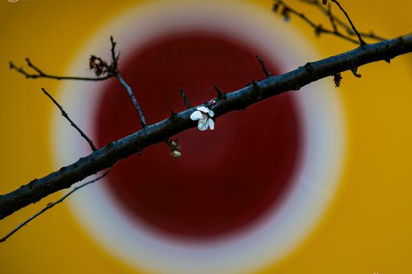 kalilinux滲透測試全流程詳解_鴻蒙智行五界大咖首聚上海