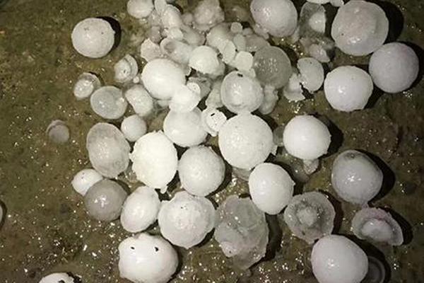 政府信息公開專欄_池昌旭退伍后首發(fā)博感謝粉絲 用中文錄視頻表心意