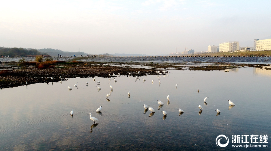 京東搶茅臺輸入虛擬資產(chǎn)密碼影響搶購_藍戰(zhàn)非回應在南非被綁架:綁匪提前半年布局
