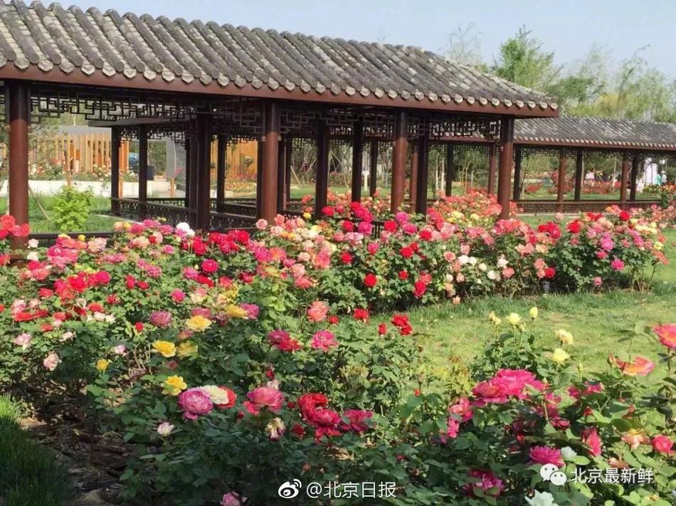 nginx從一個網(wǎng)址代理到另一個_中佛協(xié)辟謠網(wǎng)傳招聘和尚等不實(shí)信息