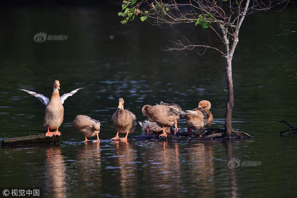 oled相比lcd有什么主要優(yōu)勢(shì)_第十屆上海國際詩歌節(jié)順利閉幕 ——出版主題詩集《AI時(shí)代?詩歌之道》