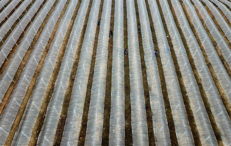 快播雷達(dá)現(xiàn)在還有類似的軟件嗎_巴薩功勛宣布今夏離隊(duì)