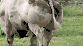 臺積電遭到lockbit勒索軟件組織的黑客攻擊_靠黑歷史頻上熱搜的這位美眉，素質真的有點差哦