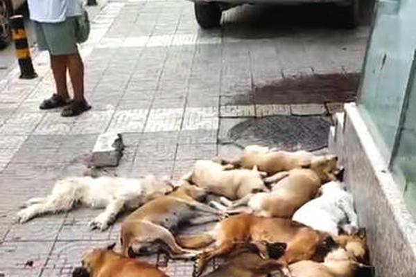 代理服務(wù)器怎么設(shè)置在哪里_香港半島酒店 香港熱度 3070