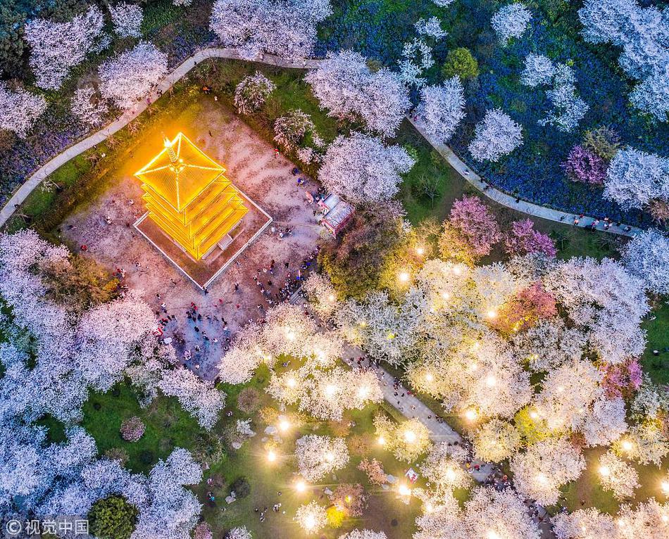 python操作sqlserver_澳門威尼斯人 澳門熱度 2.37w