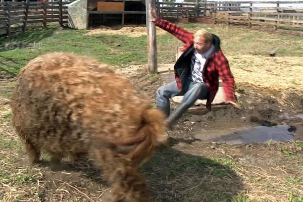 NBA杯首組半決賽出爐：尼克斯10連殺猛龍后將戰(zhàn)熱火 爭決賽名額