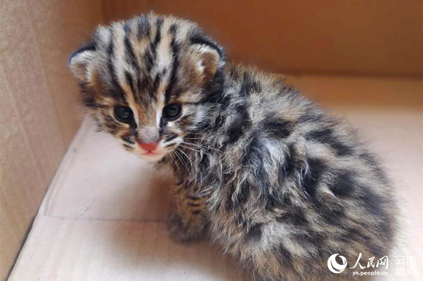 同一個人數(shù)據(jù)跨境傳輸怎么取消_80秒看懂中央經(jīng)濟(jì)工作會議