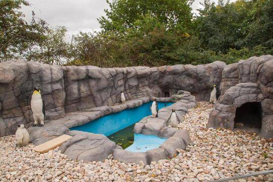 seo技術(shù)文章_楊瀚森后腦勺撞地板后續(xù):出現(xiàn)頭暈頭疼現(xiàn)象