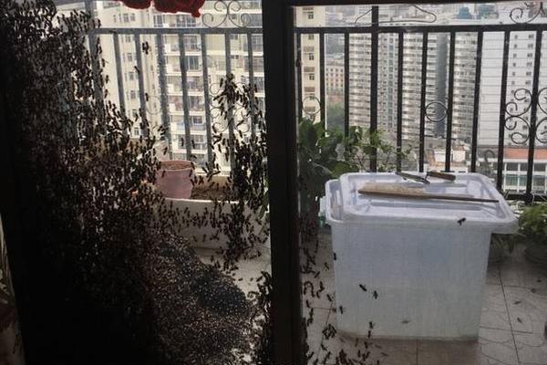 體育晚報(bào)AI速遞：今日體育熱點(diǎn)一覽 丨2025年12月10日