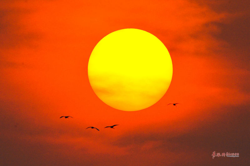 封禁小紅書，民進黨“抗中牌”玩砸了（日月談）