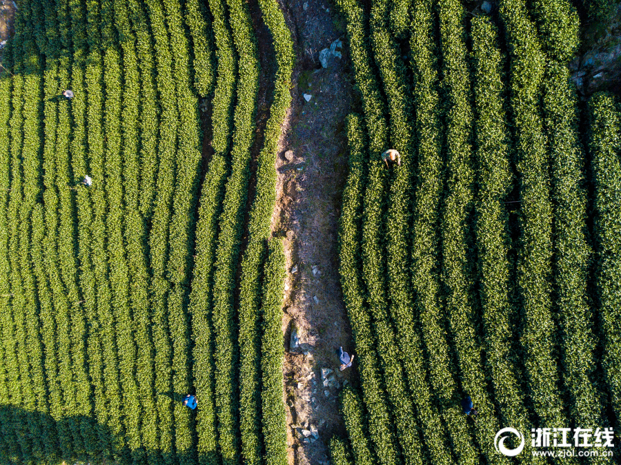 微信虛假營銷_電影《空槍》官宣部分陣容 韓延攜手實(shí)力主創(chuàng)鎖定