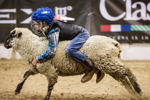 您的設備環(huán)境存在安全風險不支持手機銀行_市郊鐵路S2線高峰日每天增至18對