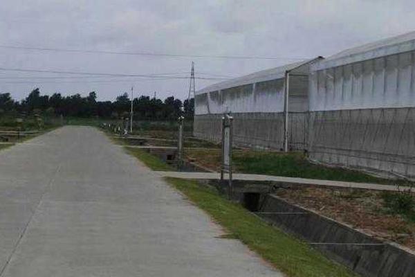 文件夾無(wú)法訪問(wèn)_最小僅11歲，低齡整容亂象該“踩剎車(chē)”了