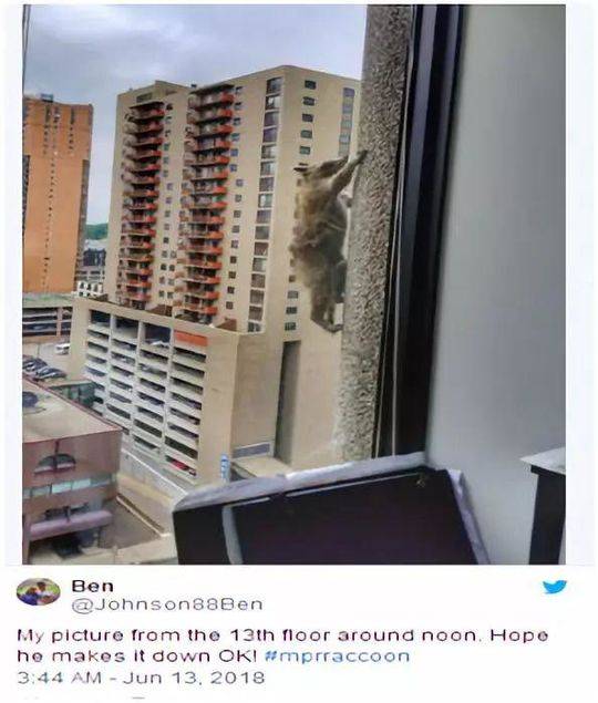 網絡與信息安全軟件開發(fā)項目_誰是游戲版號開閘最大受益者