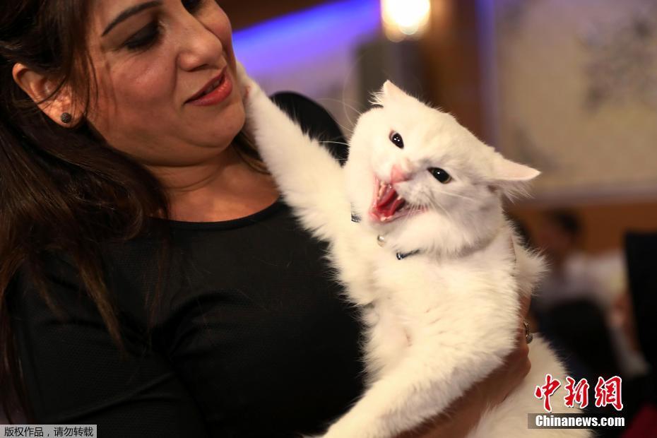 公網(wǎng)ip轉(zhuǎn)內(nèi)網(wǎng)ip_厚積“智”發(fā):一場關(guān)于71年造車智慧的巔峰探訪