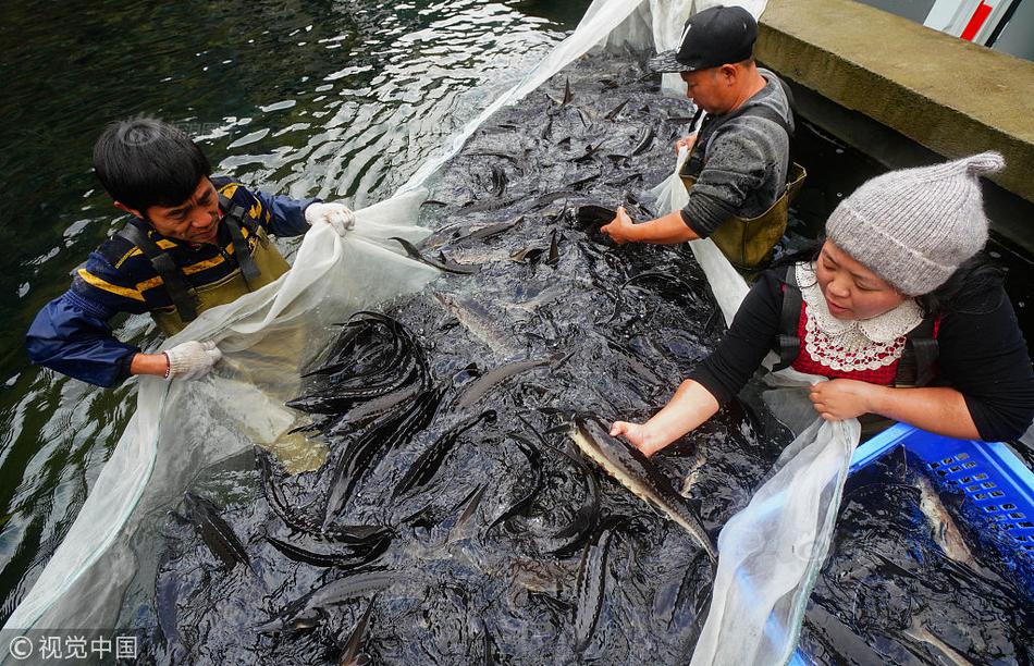 公網(wǎng)ip轉(zhuǎn)內(nèi)網(wǎng)ip_厚積“智”發(fā):一場關(guān)于71年造車智慧的巔峰探訪