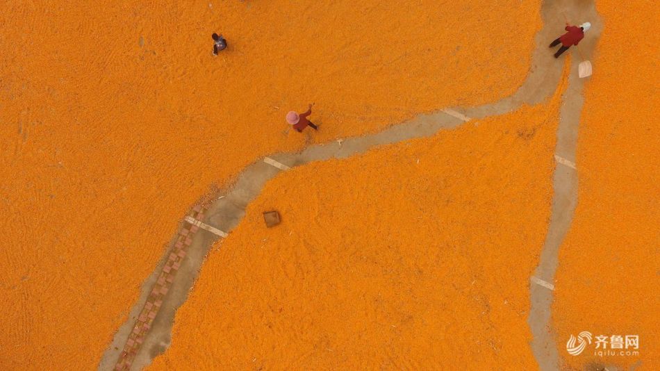 美戰(zhàn)機(jī)飛入委內(nèi)瑞拉領(lǐng)空，無(wú)人機(jī)現(xiàn)身近海