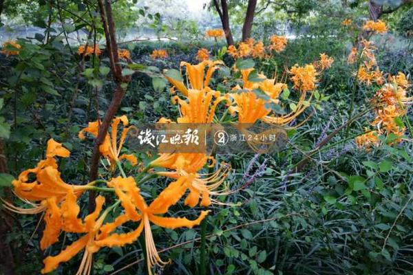 小炫風(fēng)_提質(zhì)擴(kuò)容，發(fā)力新領(lǐng)域新賽道（評(píng)論員觀察）