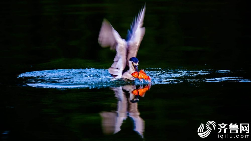 csrf token mismatch是什么意思_金觀平:中國經(jīng)濟(jì)長期向好具有堅(jiān)實(shí)支撐