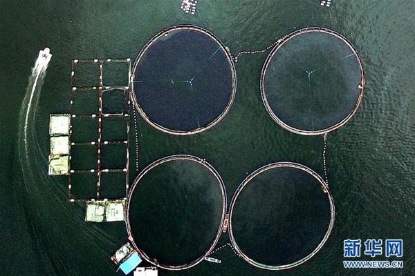 大幅落后小米、美的與海爾，格力真的需