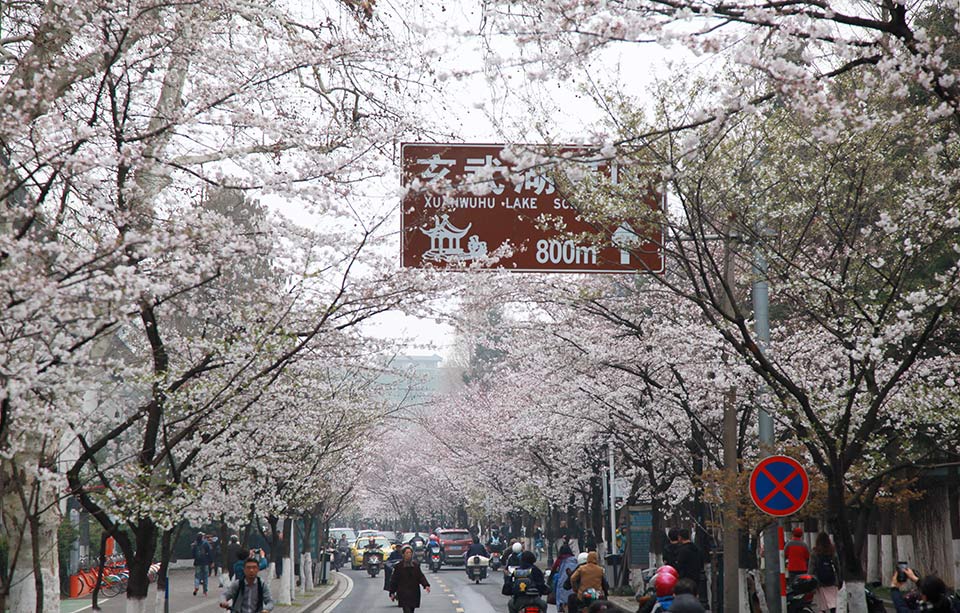 dnfyy輔助外掛頻道_印度靛藍(lán)航空取消數(shù)千架次航班 大量乘客滯留