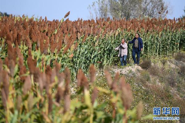 forscan官網(wǎng)下載_戰(zhàn)“疫”行動(dòng) 需要平等之光照耀