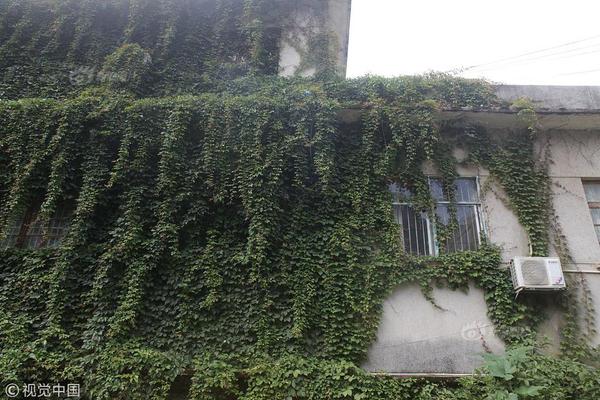 如何防范網(wǎng)絡(luò)詐騙思維導(dǎo)圖_40張海邊撒野照片，真是太有創(chuàng)意了！