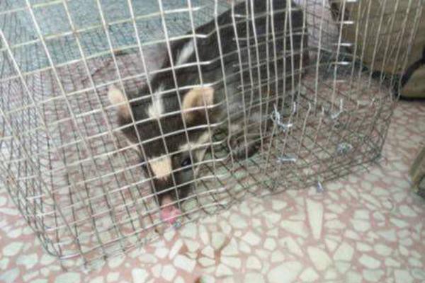 游戲推廣官方渠道_民進(jìn)十五屆四中全會在京開幕