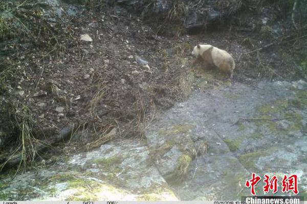 雪假收官！延吉冰雪文旅熱度“狂飆”