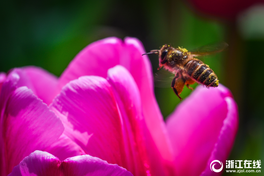 華為交換機每個vlan接口應(yīng)用dhcp地址池_美聯(lián)儲主席熱門人選哈塞特：有充足空間降息