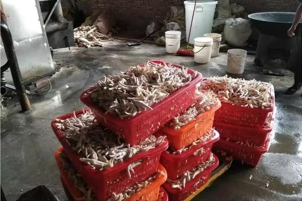 word如何快速生產(chǎn)目錄_大師畫喜鵲，抬頭見喜