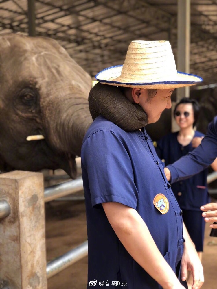 如何看出一個人是否有抑郁癥_【500集新課】AI創(chuàng)作四部曲