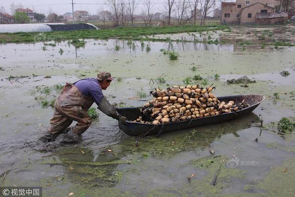 如何看知乎鹽選內(nèi)容免費_何立峰：中美應不斷拉長合作清單